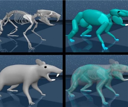 DeepMind Unveils Virtual Rat with Artificial Brain