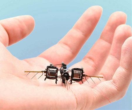 Tiny Insect-like Robot Can Flip, Loop and Hover for Up to 15 Minutes