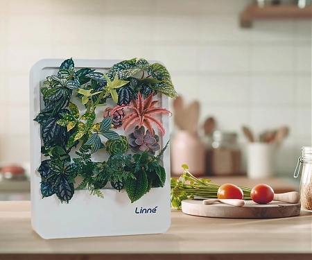 Self-Watering Vertical Garden is a Mess-Free and Versatile Piece of Art