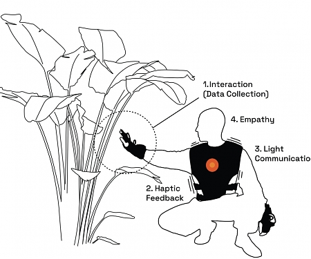 Wearable Sensors Translate Nature's Invisible Signals Into Haptic Feedback for Humans