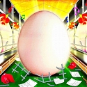 Cage-Free Eggs Are Booming in the US, Despite Cost and Trump’s Efforts