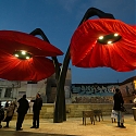 Giant Flowers Bloom as Pedestrians Approach