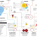 (Infographic) 2015 Consumer Goods Trends