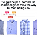 Twiggle Raises $15M in New Funding to Make E-Commerce Search More Intuitive