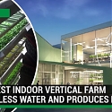 (Video) World's Largest Indoor Vertical Farm Uses 95% Less Water and Produces More Food