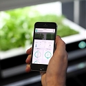 (Video) Veggie-Growing Kitchen Appliances - Homefarm