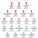 (Infographic) The Best and Worst Paid Jobs in the Tech Sector