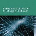 (PDF) BCG - Pairing Blockchain with IoT to Cut Supply Chain Costs