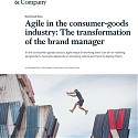 (PDF) Mckinsey - Agile in The Consumer-Goods Industry