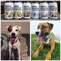 Fargo Brewing Company Puts Adoptable Dogs’ Faces on Beer Labels