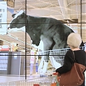 Supermarket Broadcasts Your Food’s Origin on the Big Screen