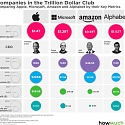 Visualizing Companies in The Trillion Dollar Club