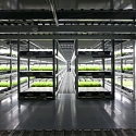 The World’s First Farm with Robot Farmers to Open in Japan