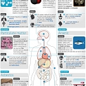 (Infographic) What’s In The Air We Breathe?