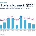 Where Investors Are Placing Bets In Wellness Amid Covid-19