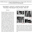 (PDF) AI Is Continuing Its Assault on Radiologists