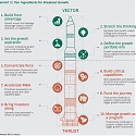 (PDF) BCG - Vector and Thrust : What Breakout Growers Get Right