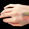 (Video) MIT Engineers 3-D Print a “Living Tattoo”