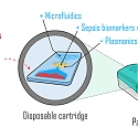 New Microscopy Technique Identifies and Quantifies Bacterial Infections in Minutes