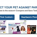 Pets And Pampering Prompt New People To Purchase Online