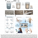 (Paper) Mussel-Inspired Antimicrobial Coating Protects Sanitary Fabrics from Contamination