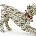 US Pet Spending : Pets That Have It All