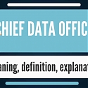 (Infographic) The Rise of the Chief Data Officer (CDO)