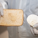 This Clever Material Made from Fungi Could Save Your Home in a Fire