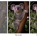 (PDF) Nvidia Uses AI to Clean Up Messy Photos - Noise2Noise