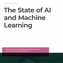 (PDF) The State of AI and Machine Learning Report