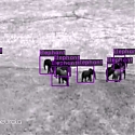 (Video) AI Software Created for Drones Monitors Wild Animals and Poachers - Neurala