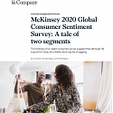 (PDF) McKinsey 2020 Global Consumer Sentiment Survey