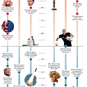 (Infographic) A Picture of Probabilities