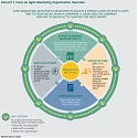 (PDF) BCG - The Agile Marketing Organization