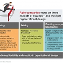 (PDF) Mckinsey - Why Agility Pays