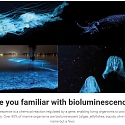 (Video) Glowee - Sustainable Light from Bacteria