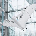 (Video) Festo's Latest Robo-Animals – A Rolling Spider and a Semi-Autonomous Bat