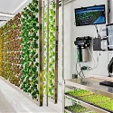 Ponix Is Bringing Local Produce to Food Deserts With Hydroponic Technology