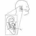 (Patent) Apple Patent Suggests Biometric Sensors May Be Used in Future Earbuds