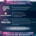 (Infographic) Pets in the Metaverse