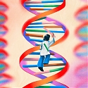 The Next Frontier In Weight-Loss Drugs: One-Time Gene Therapy