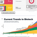 (Infographic) Investment Opportunities in Biotech