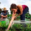 Agrodomes Are Individual Greenhouses for Budding Crops