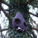 (Video) ETH Zurich : Avocado Robot Swings from Trees to Gather Canopy Data