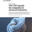 (PDF) Mckinsey - The CEO Agenda for Companies in Advanced Industries