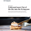 (PDF) Mckinsey - Cultivated Meat : Out of The Lab, Into the Frying Pan