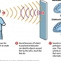 (Paper) New Device Lets People Who Are Blind “See” in Infrared