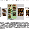 (Paper) Automatic Comic Generation with Stylistic Multi-page Layouts and Emotion-driven Text Balloon Generation