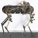 (Video) Morti is a Robot Dog That Can Learn to Walk in an Hour