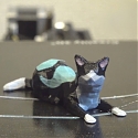(Paper) Programmable Filament Gives Even Simple 3D Printers Multi-Material Capabilities